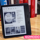 Illustration for article titled The New Kindle Oasis Is the Best Ereader of All Time, But Is It Worth It?